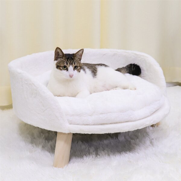 Cute girl dog sale beds